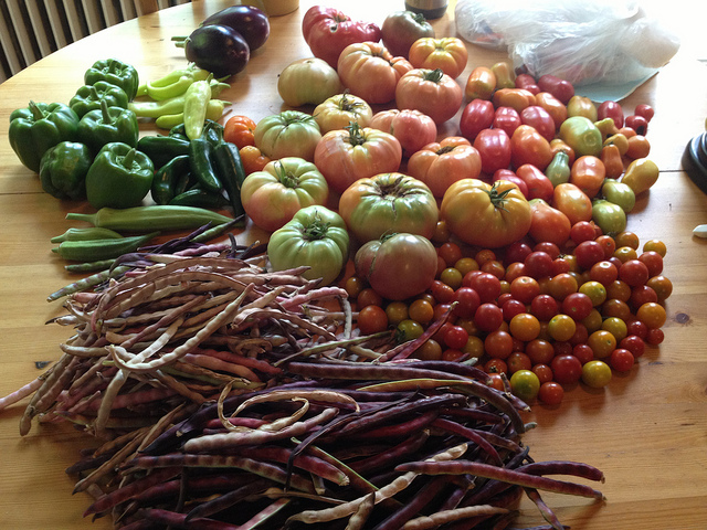 tomato_winner_popville