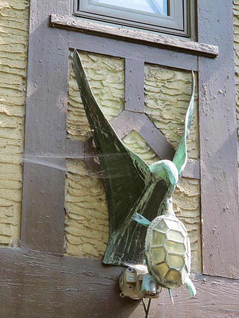 wildest_outdoor_light