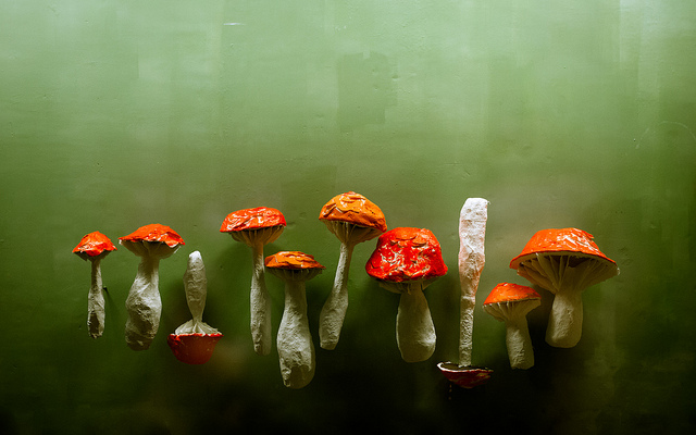 10309061875_f83d73d8f6_z