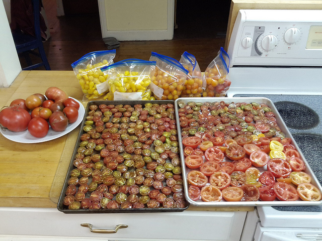 autumn_garden_haul