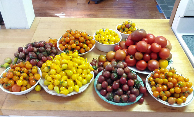autumn_garden_haul_popville