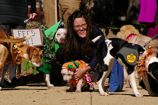 caption_contest_popville