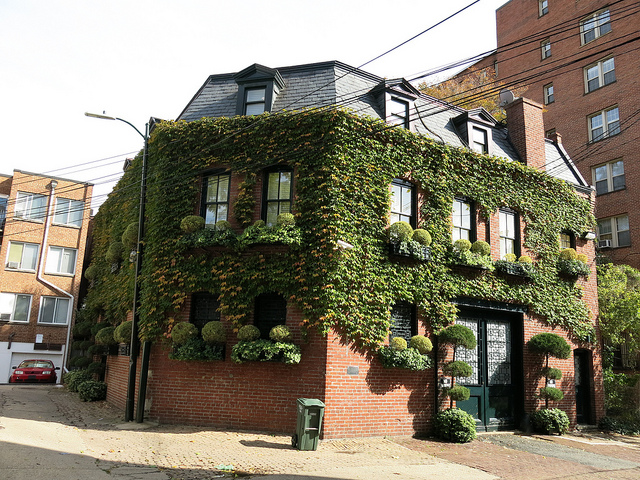 dupont_alley_house
