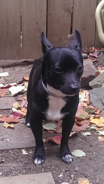 10871770703_ee49a9ce5a_z