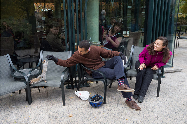 Caption_contest_popville