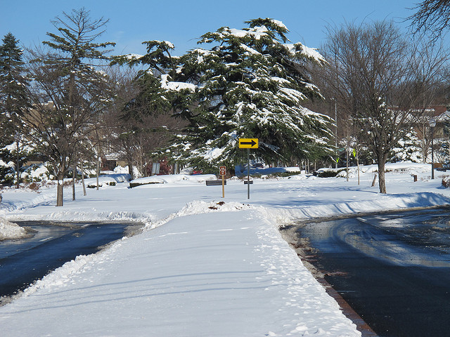Grant_circle_tree_snow