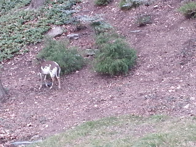 11173394184_c15cd16758_z