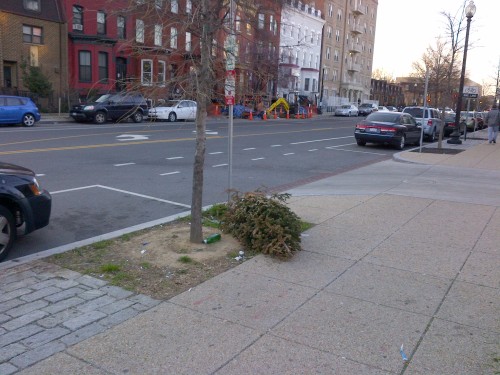 christmas_tree_pick_up_dc