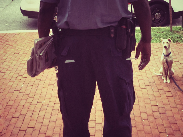 police_checkpoint_dc