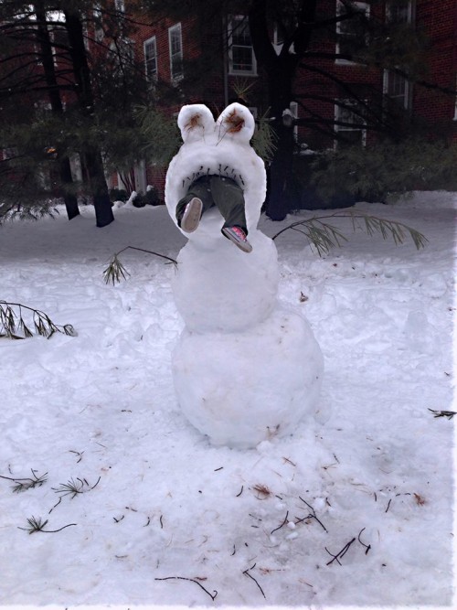 snow thing