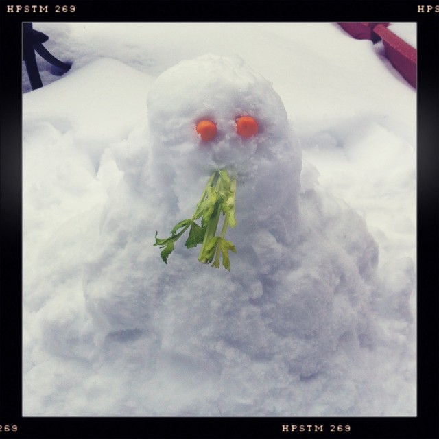 snowmainfail