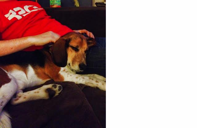 Screen Shot 2014-03-25 at 10.06.33 AM