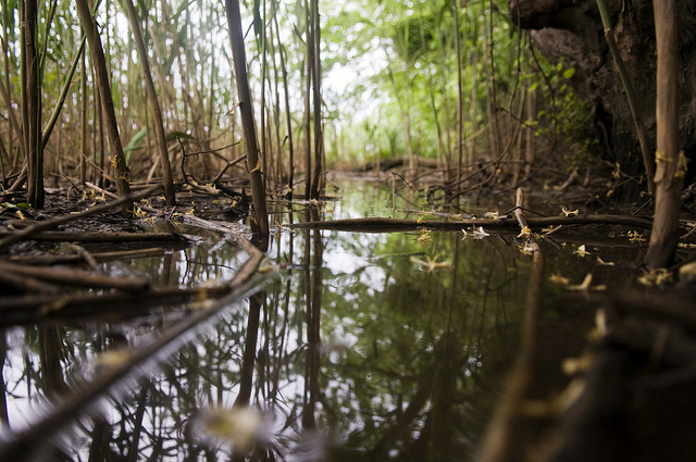 anacostia_river_clean_up