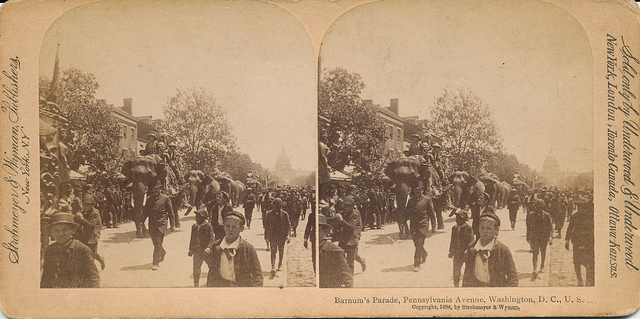 elephant_walk_dc
