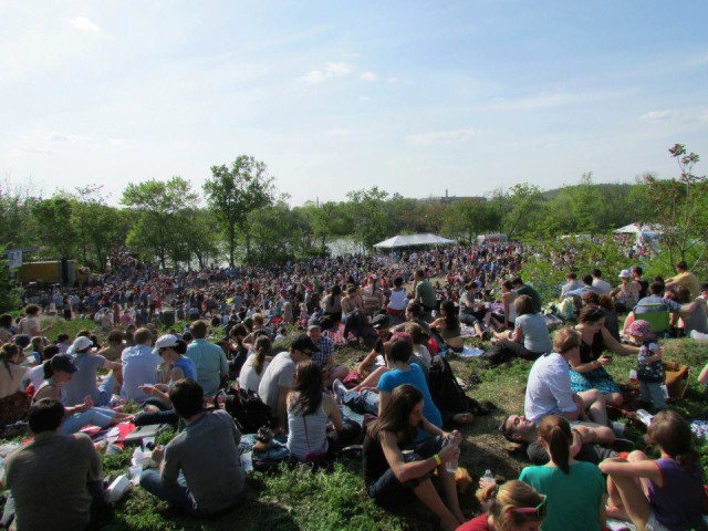 perfect-day-for-festival