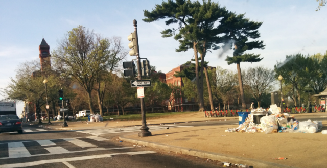 cherry_blossoms_trash