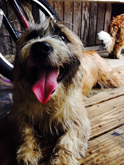 10394588_10203218571320389_8991026903186538424_n