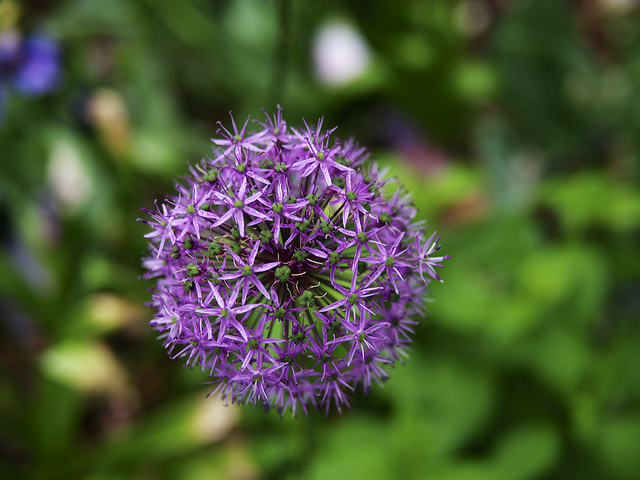 13978125410_3a109cb2e3_z