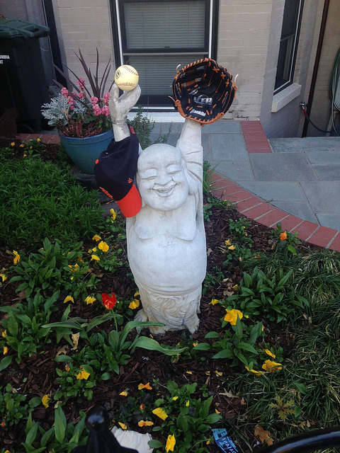 14111192223_39e7766db2_z