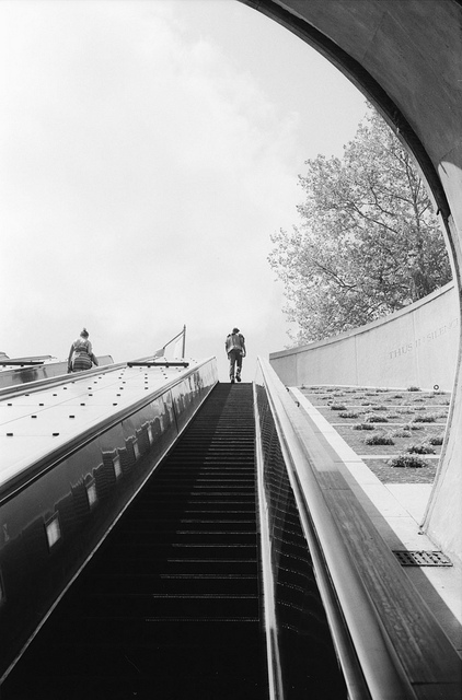 14267171445_de78a796b0_z