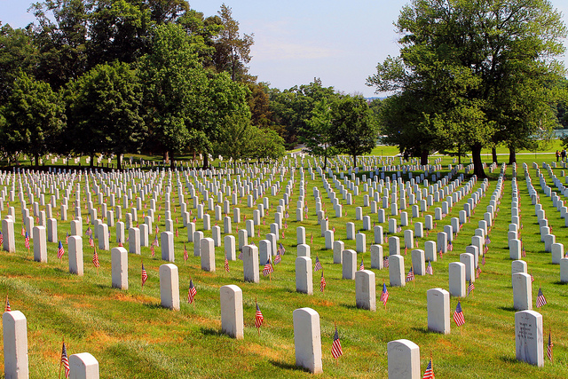 7291411528_fa846eea36_z