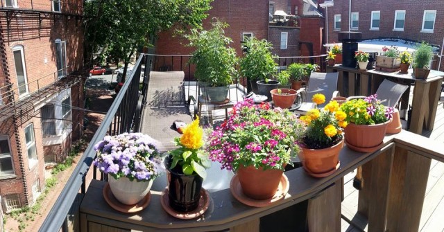 10334292_10100483130315104_4840995405878024147_n