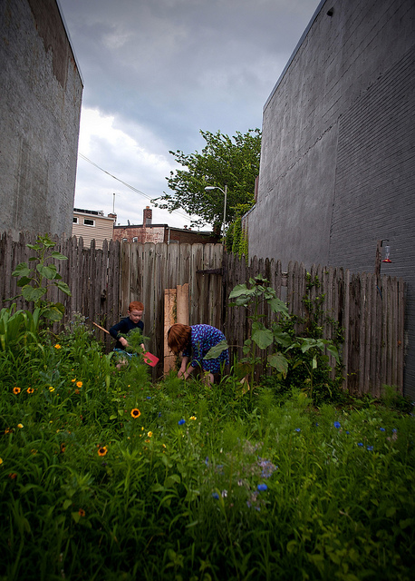 vacant_lot_gardening_bill_dc