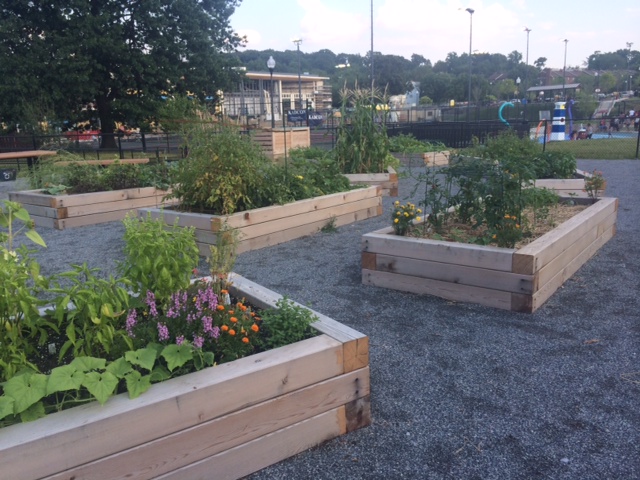 Turkey Thicket Recreation Center Garden