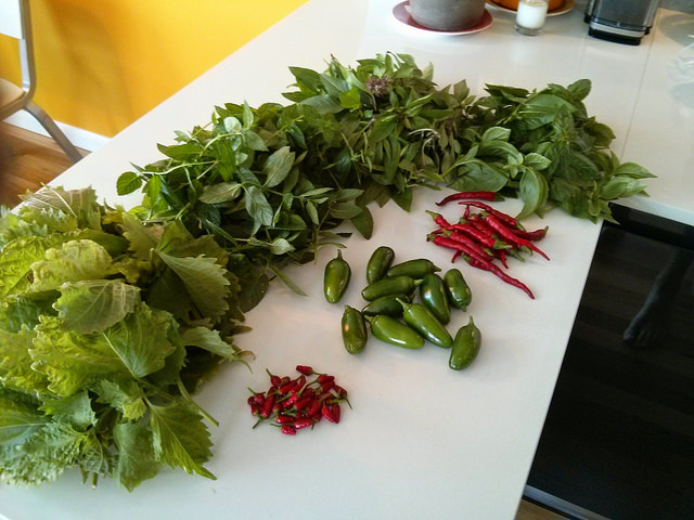 14814123620_08247bb84c_z