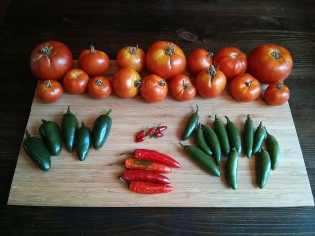 Petworth garden haul