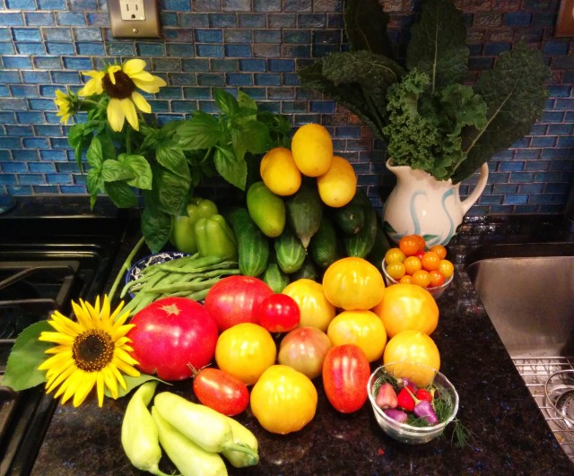 gardenAugust (2)