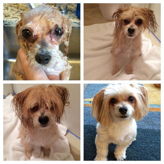Dusty bath