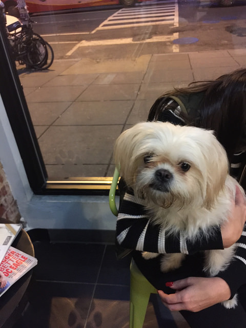 15626537986_e87c07dfc0_z