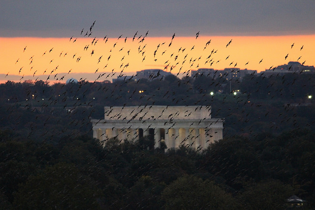 dc_Neighborhood_news_popville