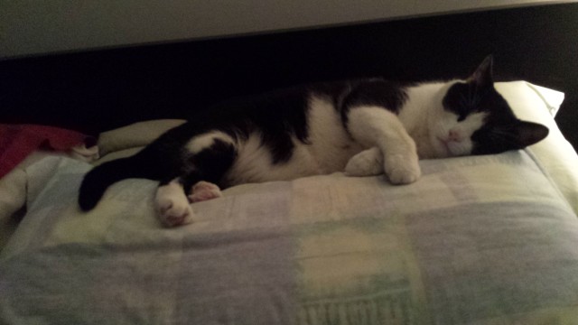 marty sleeping