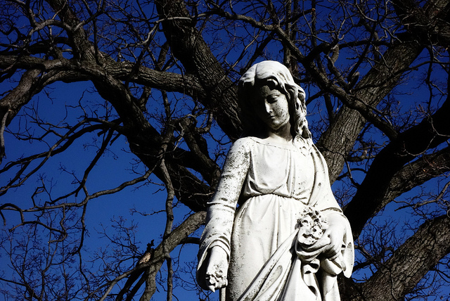 8562719097_4fd212d0dc_z