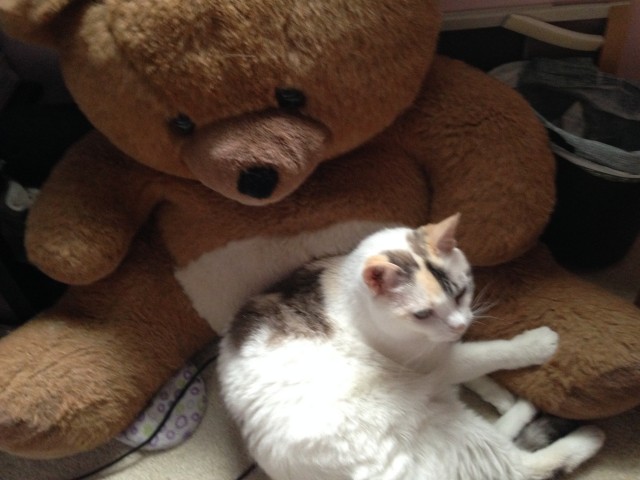 izzy