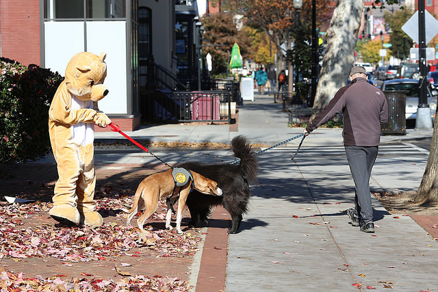 popville_caption_contest_winners