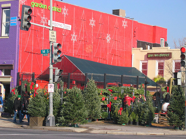 christmas_tree_pickup