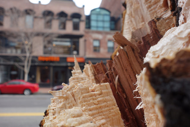 16141477078_a35e2a2706_z