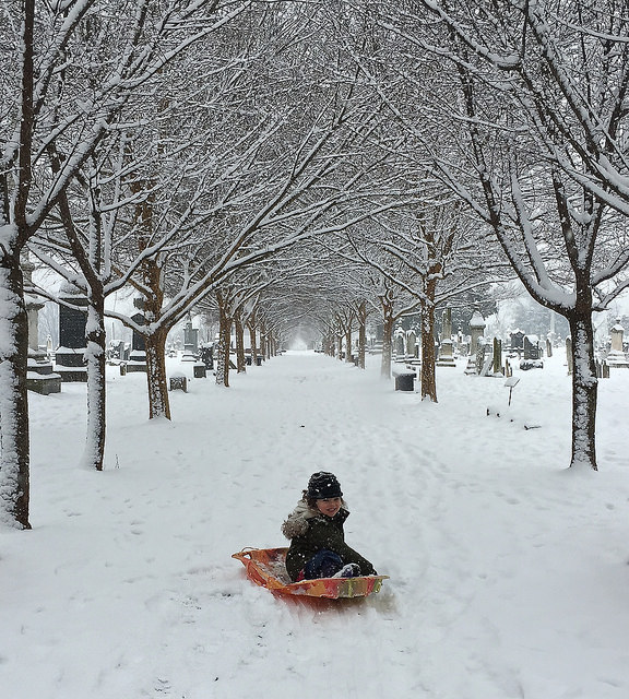 16653588685_5ca8d40a09_z