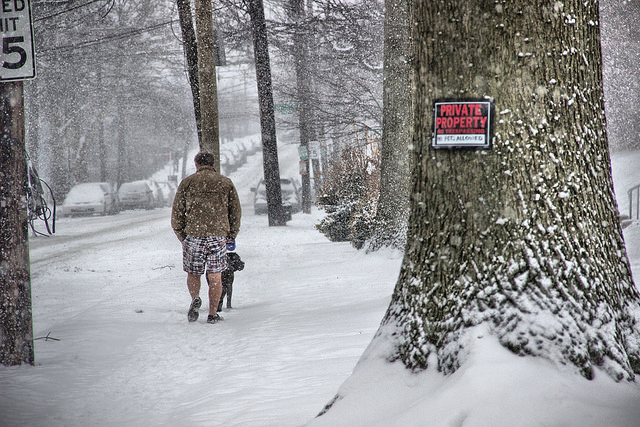 popville_caption_contest