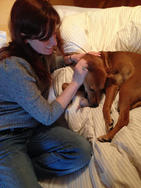 16252690734_ec9a9bcccf_z