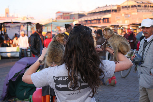 16749870638_6e1a94a9fc_z