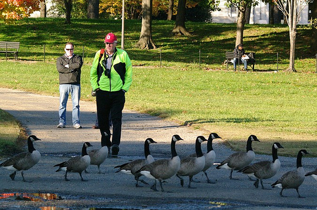 6321869261_2e371d5034_z