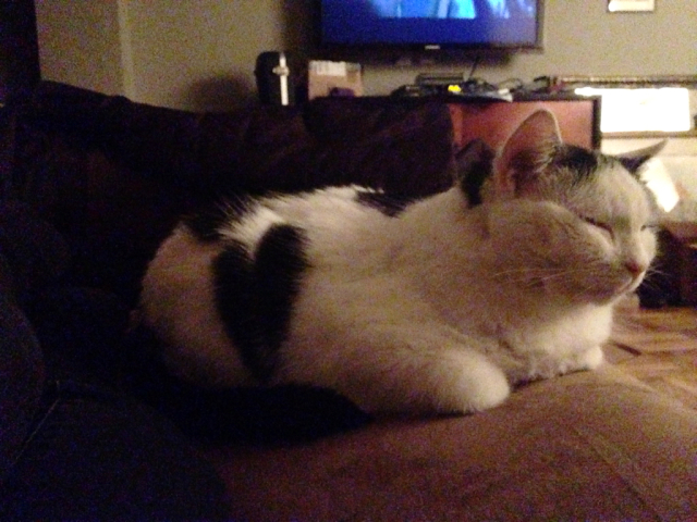 Bessie loaf