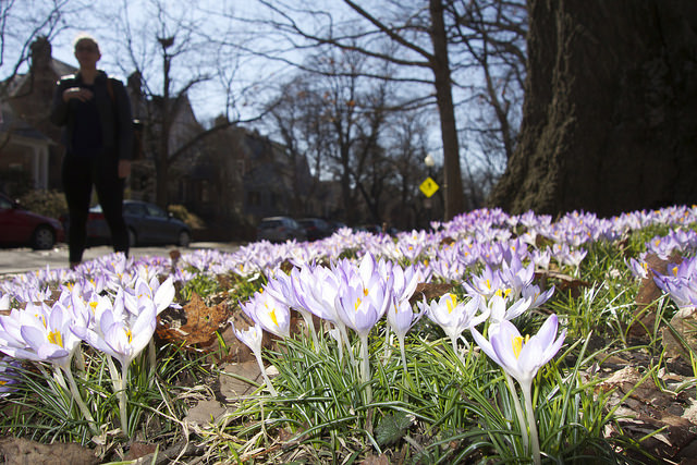 dc_neighborhood_news_popville