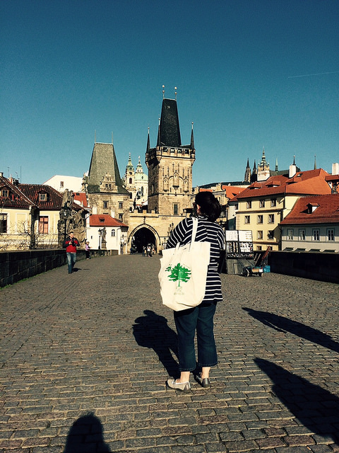 16604464383_564bee2746_z