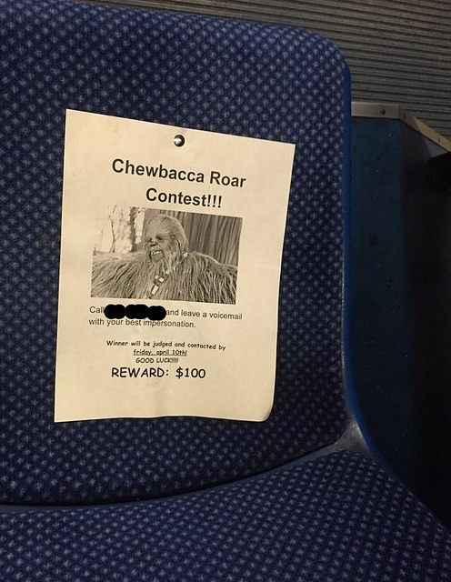 16821939708_4627b19e36_z