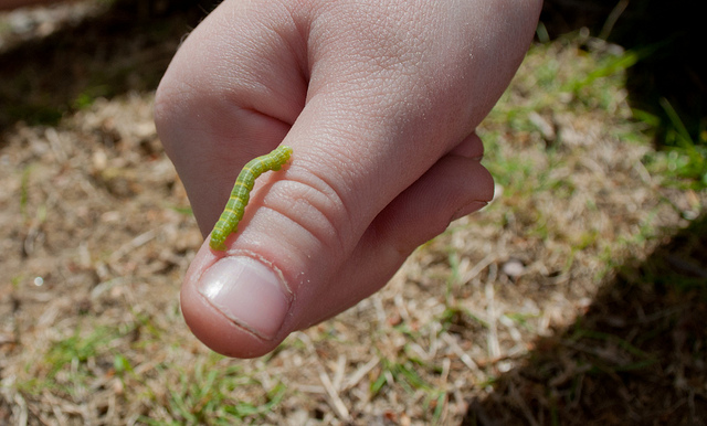 6933686104_b8005d99bc_z